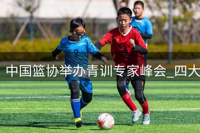 中国篮协举办青训专家峰会 四大名师破解小篮球发展困局